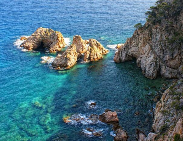 FAQ costa brava girona